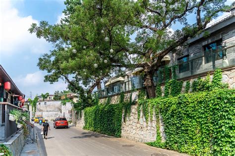 有院子的家|石景山模式口街区城市更新留住文化根脉 “京西古道”焕发新生机